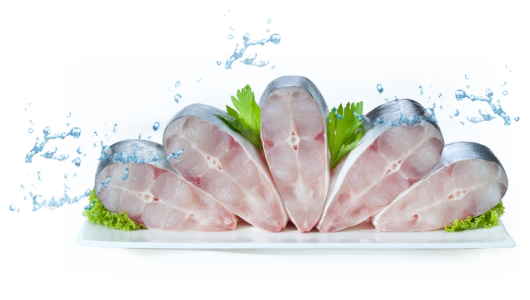 About AVfish